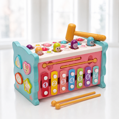 Turtlebee 8-in-1 Compact Activity Toy