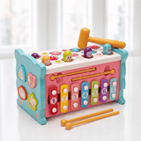 Turtlebee 8-in-1 Compact Activity Toy